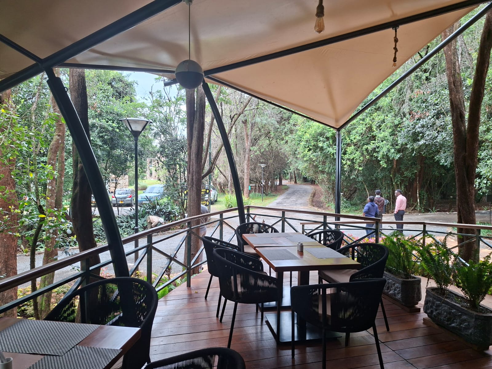 WhatsApp Image 2026-01-16 at 16.44.15